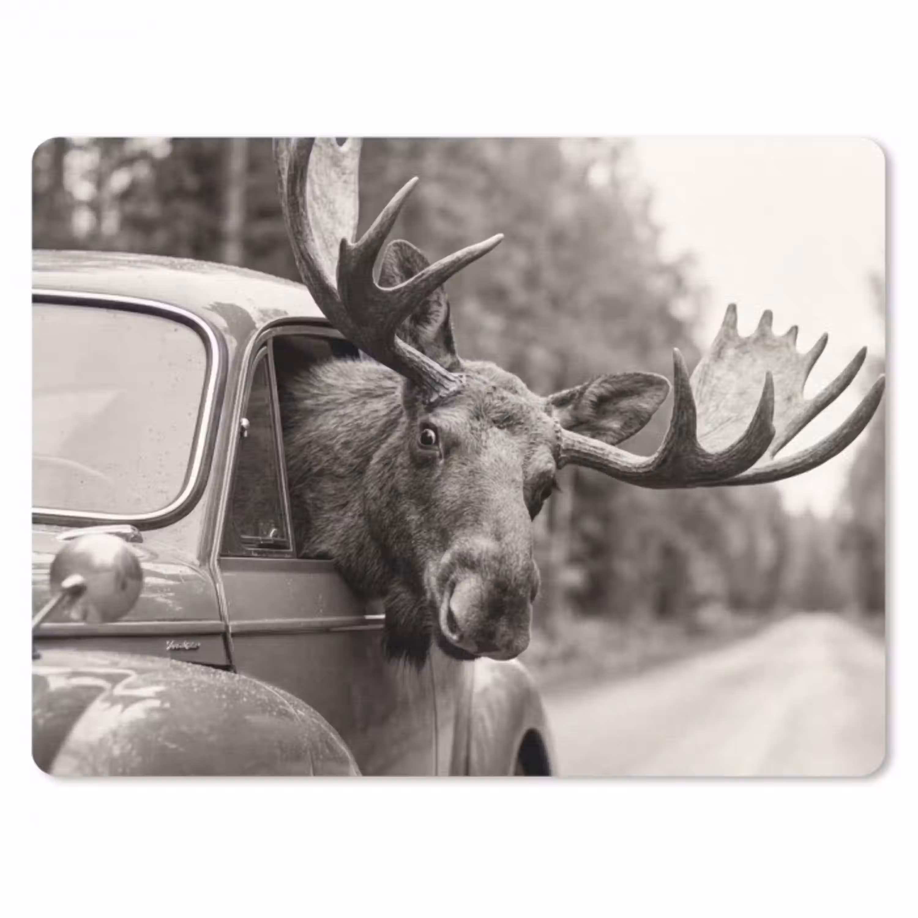 Eland - Auto - Gewei - Zwart - Wit muismat rubber klein -3d