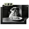 Hond - Bulldog - Pasta - Bril - Stoer - Dieren Inductie beschemer met haakjes klein -3d