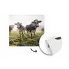 Koeien - Licht - Gras - Dieren fotobehang vinyl groot -3d