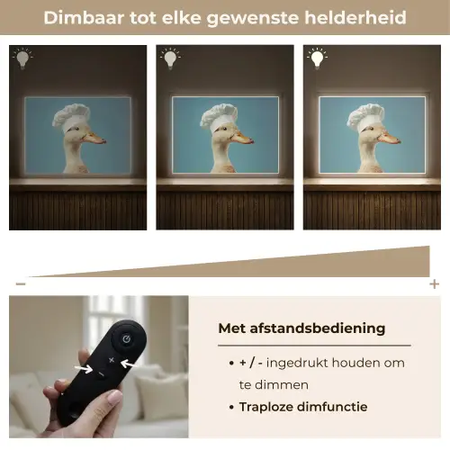 Eend - Koksmuts - Cute - Vogel Light Box met batterij (Wandlamp) middel -USP_dimbaarNL