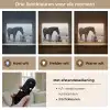 Paard - Auto - Zwart - Wit Light Box met batterij (Wandlamp) middel -USP_lichtkleurNL