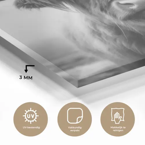 Schotse hooglander - Mist - Zwart - Wit plexiglas 5mm klein -sfeer2