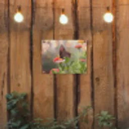 Vlinder op zomerbloem tuinposter los doek klein -sfeer1