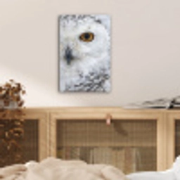 Sneeuwuil - Oog - Wildlife - Wit plexiglas 5mm klein -sfeer4