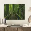 Jungle - Brug - Mos - Natuur - Tropisch PET vilt klein -sfeer1