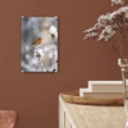 Roodborstje - Gedroogde bloem - Sneeuw - Winter - Vertederend plexiglas 5mm klein -sfeer5