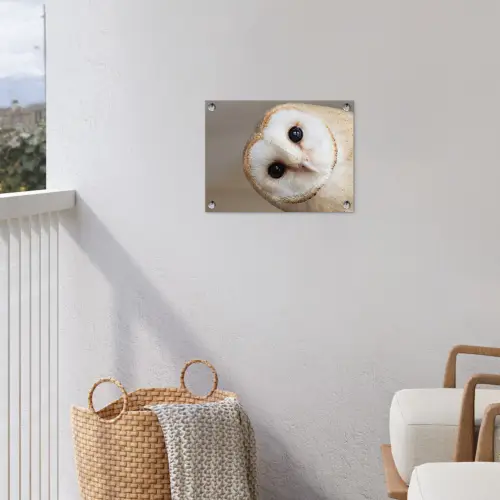 Uil - Bruin - Wit tuinposter los doek klein -sfeer8