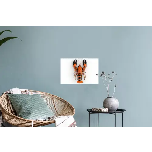 Kreeft - Zwart - Oranje - Wit - Uniek Muursticker klein -plant