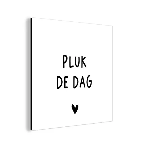 Spreuken - Quotes - Pluk de dag - Carpe diem aluminium wit klein -3d