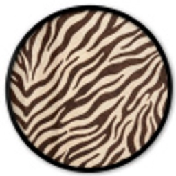 Zebra - Strepen - Bruin Fotolijst rond zonder passe partout klein -3d
