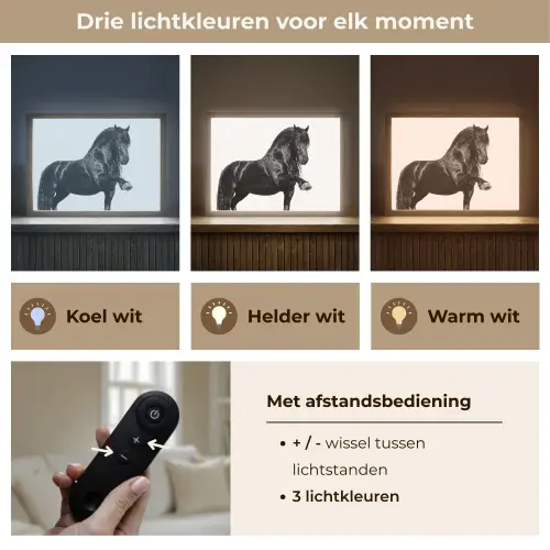 Fries - Hengst - Modern Light Box met batterij (Wandlamp) middel -USP_lichtkleurNL