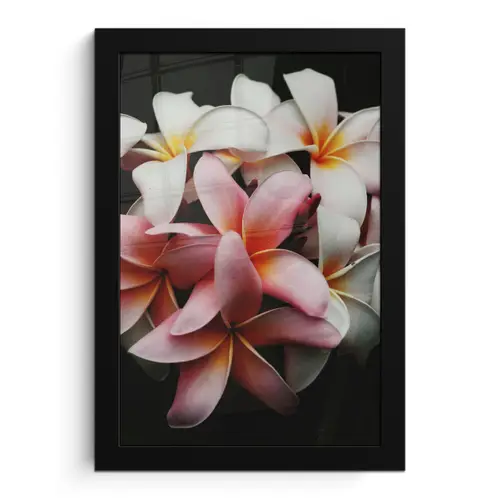 Bloemen - Roze - Zwart - Flora - Botanisch fotolijst zwart zonder passe partout klein -3d