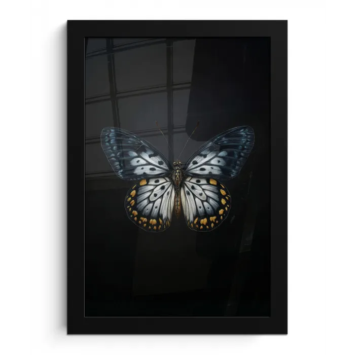 Vlinder - Monochroom - Balans fotolijst zwart zonder passe partout klein -3d