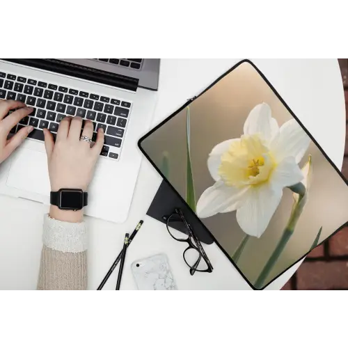 Narcis - Bloem - Minimalistisch laptophoes neopreen klein -bureau