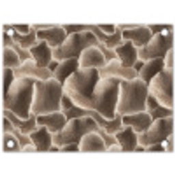 Waaiervorm - Beige - Vezel textuur tuinposter los doek klein 239 -3d