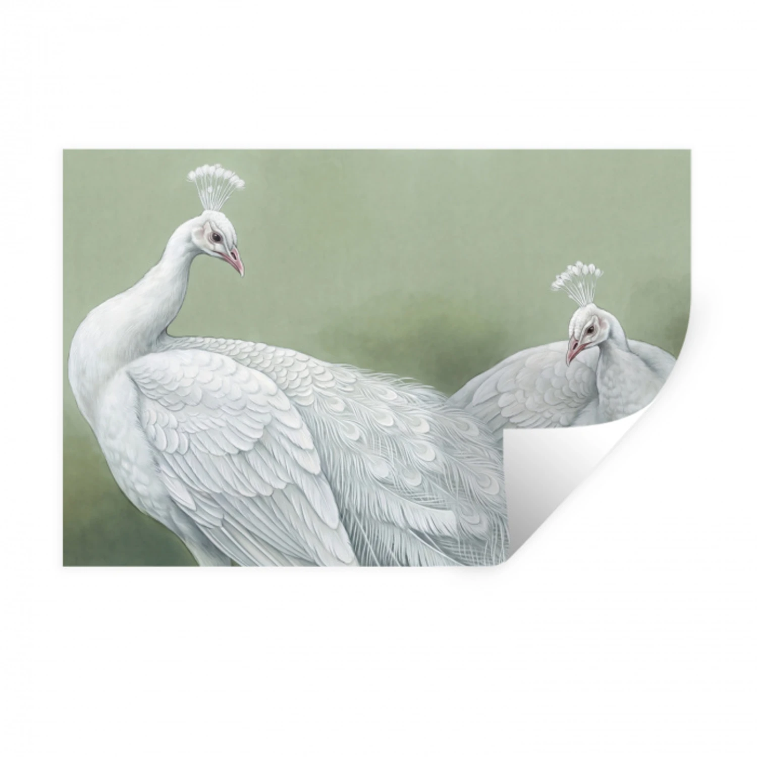 Pauwen - Wit - Natuur - Groen Muursticker klein -3d