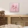 Bloem - Pioenroos - Roze plexiglas 5mm klein -sfeer4