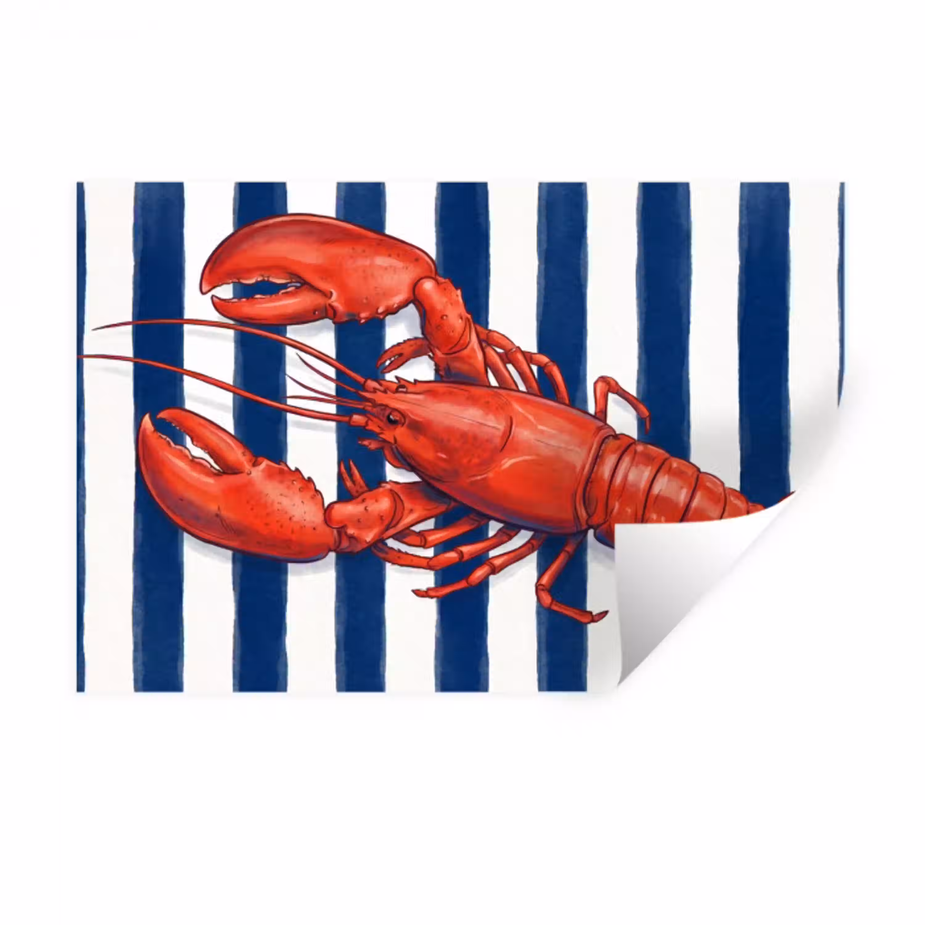 Schaaldier - Kreeft - Marine - Illustratie - Rood Muursticker klein -3d