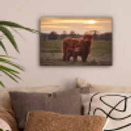Schotse hooglander - Dieren - Landschap - Zonsondergang - Koe canvas 2cm klein -sfeer1