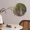 Druiven - Wijngaard - Zonlicht Akoestische PET Vilt - Rond klein -sfeer3