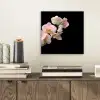 Orchidee - Bloemen - Roze - Stilleven - Flora aluminium wit klein -sfeer1