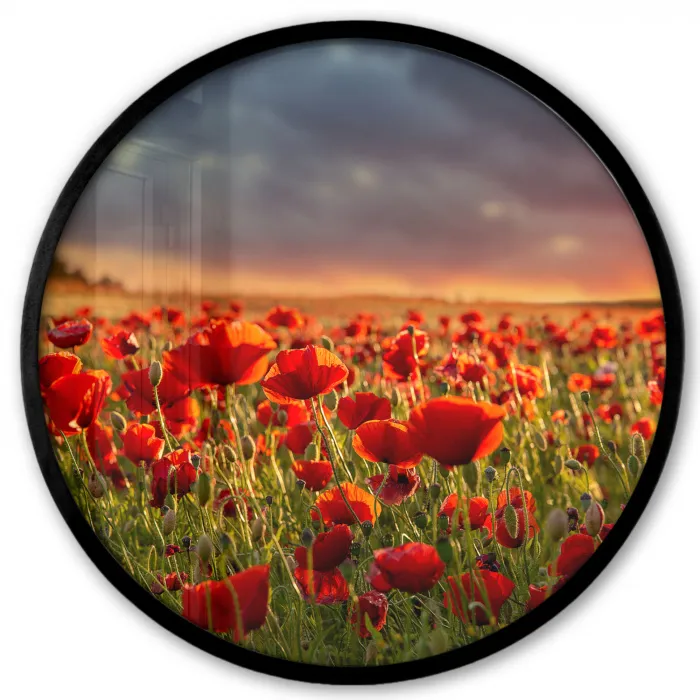 Zonsondergang - Klaprozen - Rood - Bloemen - Veld - Natuur Fotolijst rond zonder passe partout klein -3d