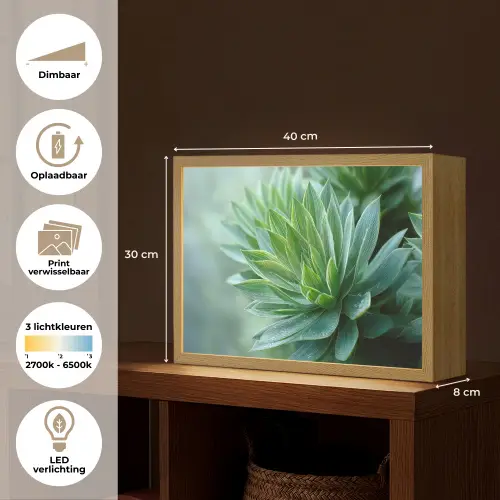 Blad - Plant - Groen - Textuur Light Box met batterij (Wandlamp) middel -USP_websiteoverzichtNL