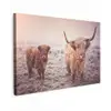 Schotse hooglanders - Licht - Lucht - Natuur canvas 2cm klein -z3d