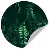 Bladeren - Jungle - Natuur - Tropisch - Planten Wandcirkel behangsticker klein -3d