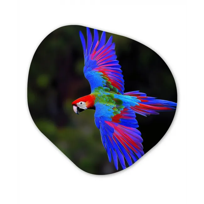 Felgekleurd - Papegaai - Bos - Vleugels Wandcirkel Organisch Forex 3mm klein -3d