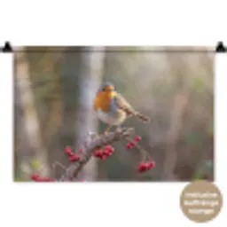Roodborst - Tak - Bessen - Natuur Wandkleed katoen klein -t3d_DE