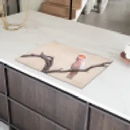 Papagaai - Tak - Roze Inductie beschermer vinyl 3mm klein -sfeer8