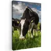 Koeien - Dieren - Gras - Weiland - Boerderij canvas 2cm klein -z3d