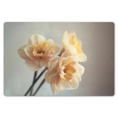 Narcissen - Geel - Bloemblaadjes Placemat vinyl groot -zzsfeer1_Kitchenyeah-website