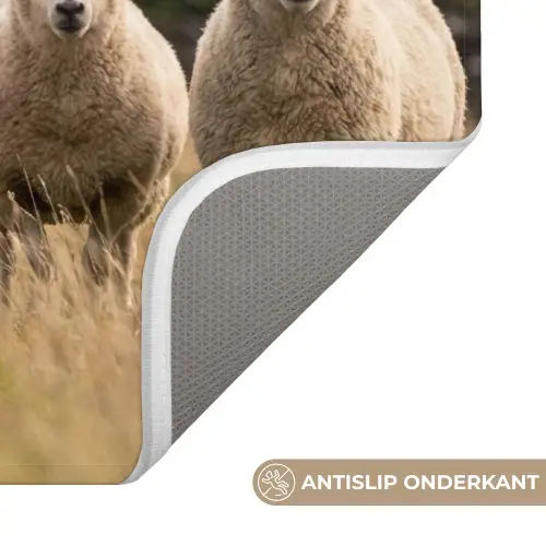 Schapen - Weidenlandschap - Heuvels Badmat klein -USP_AntislipNL