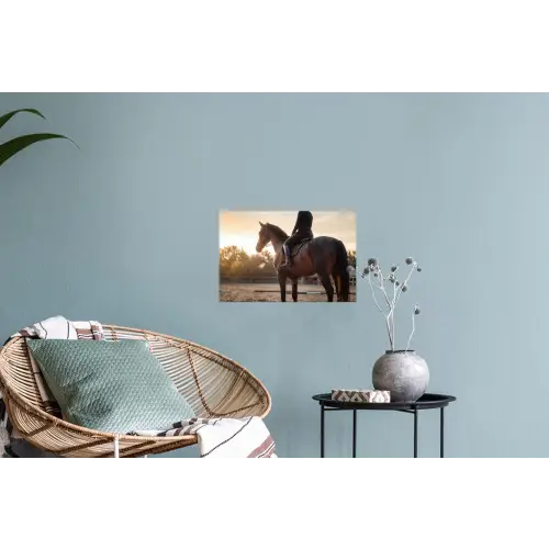 Harmonie - Ruiter - Zon Muursticker klein -plant