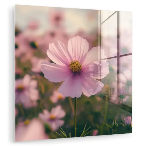 Bloemen - Paars - Wazig plexiglas 5mm klein -zzzproduct_nieuw