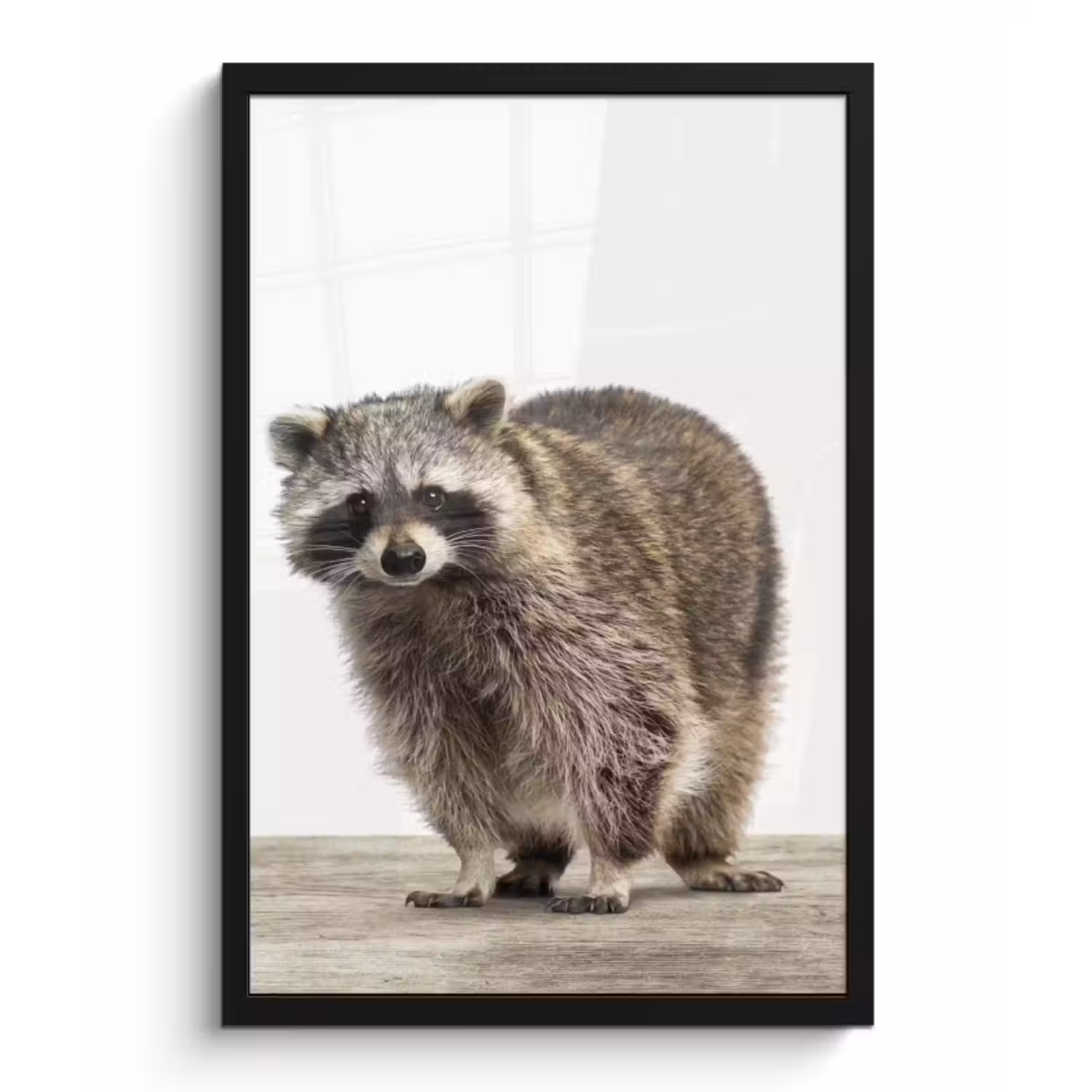 Poster met lijst - Wasbeer - Dieren - witte achtergrond -Jongens - Meisjes - Kinderen