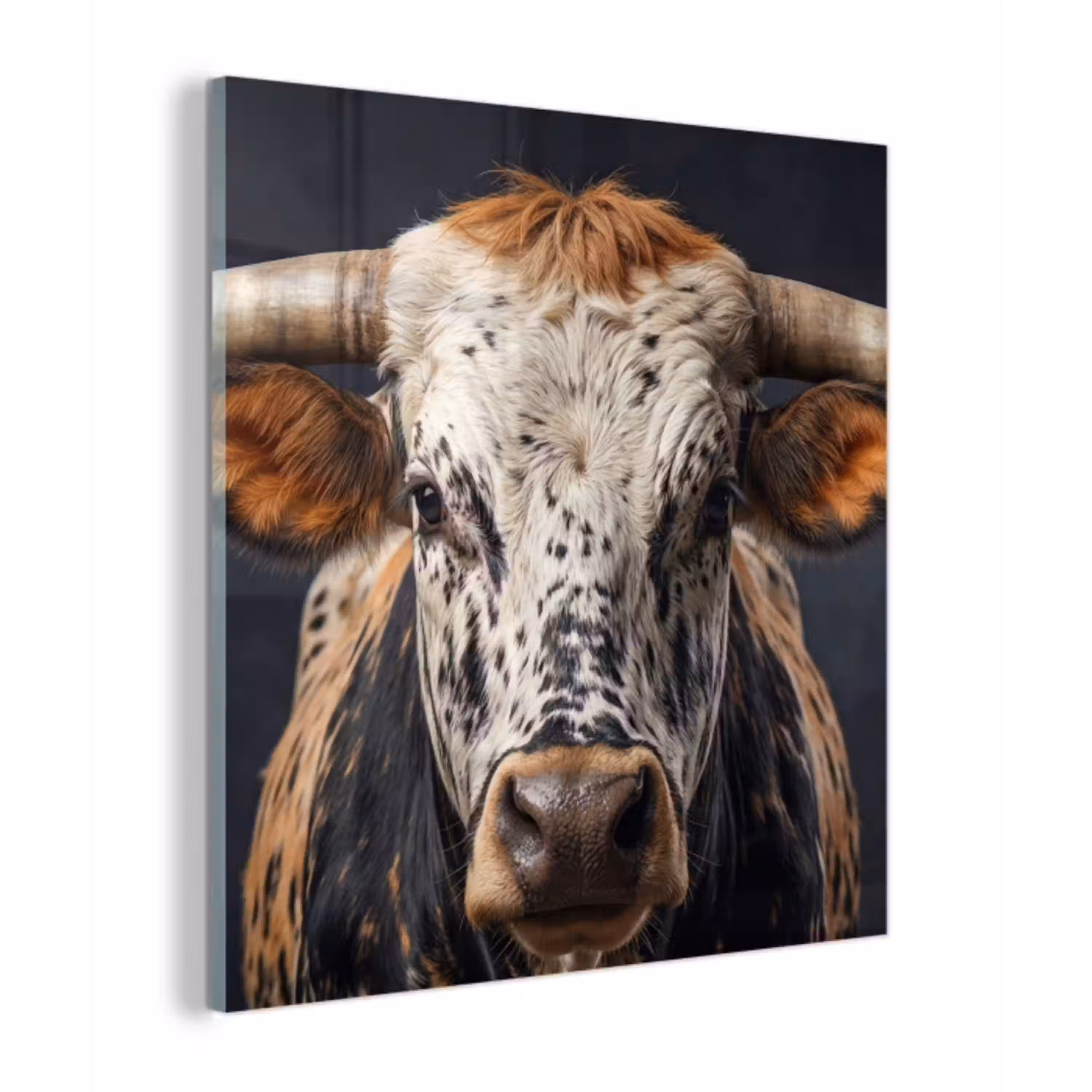 Stier - Kleurrijk - Hoorns plexiglas 5mm klein -z3d