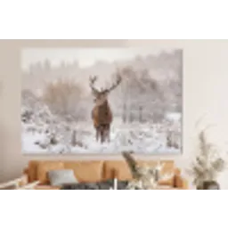Edelhert - Bos - Sneeuw - Winter - Majestueus forex 5mm xxl -bovenbank