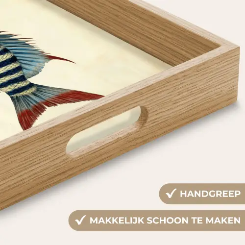 Gestreept - Donkerblauw - Rugvin - Vis Dienblad Rechthoek middel -USP_HandgreepNL