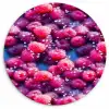 Frambozen - Waterdruppels - Vruchten Wandcirkel kunststof plaat 5mm dik klein 188 -3d