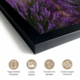 Lavendel - Veld - Natuur - Paars fotolijst zwart zonder passe partout klein -sfeer2
