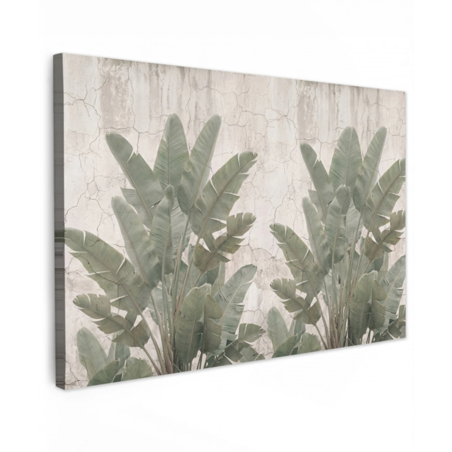 Bananenbladeren - Beton - Groen canvas 2cm klein -z3d