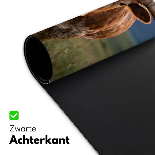 Longhorn - Landschap - Zonsondergang Muismat XXL klein -sfeer2