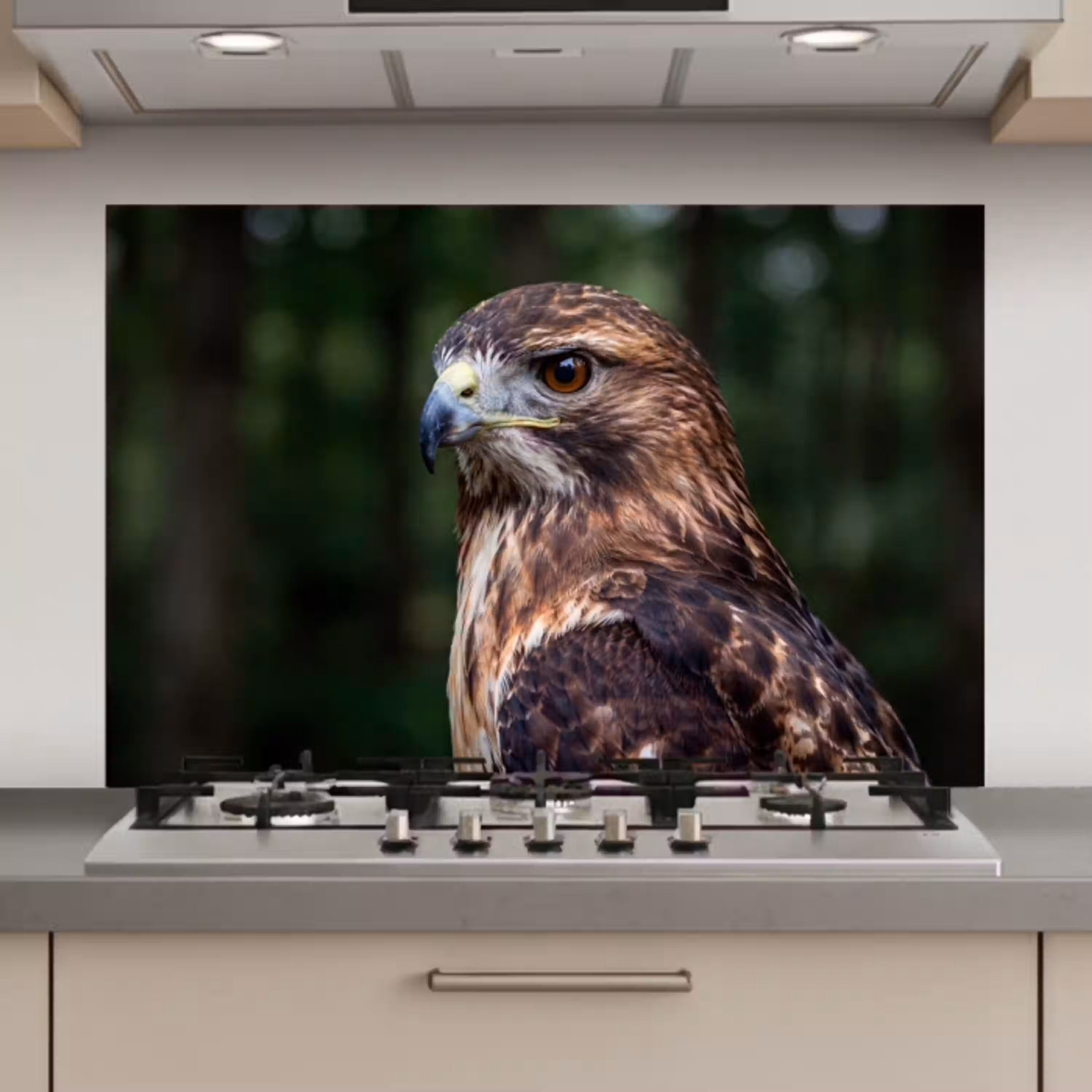 Buizerd - Roofvogel - Natuur - Bruin keuken achterwand spatscherm klein -3d_website