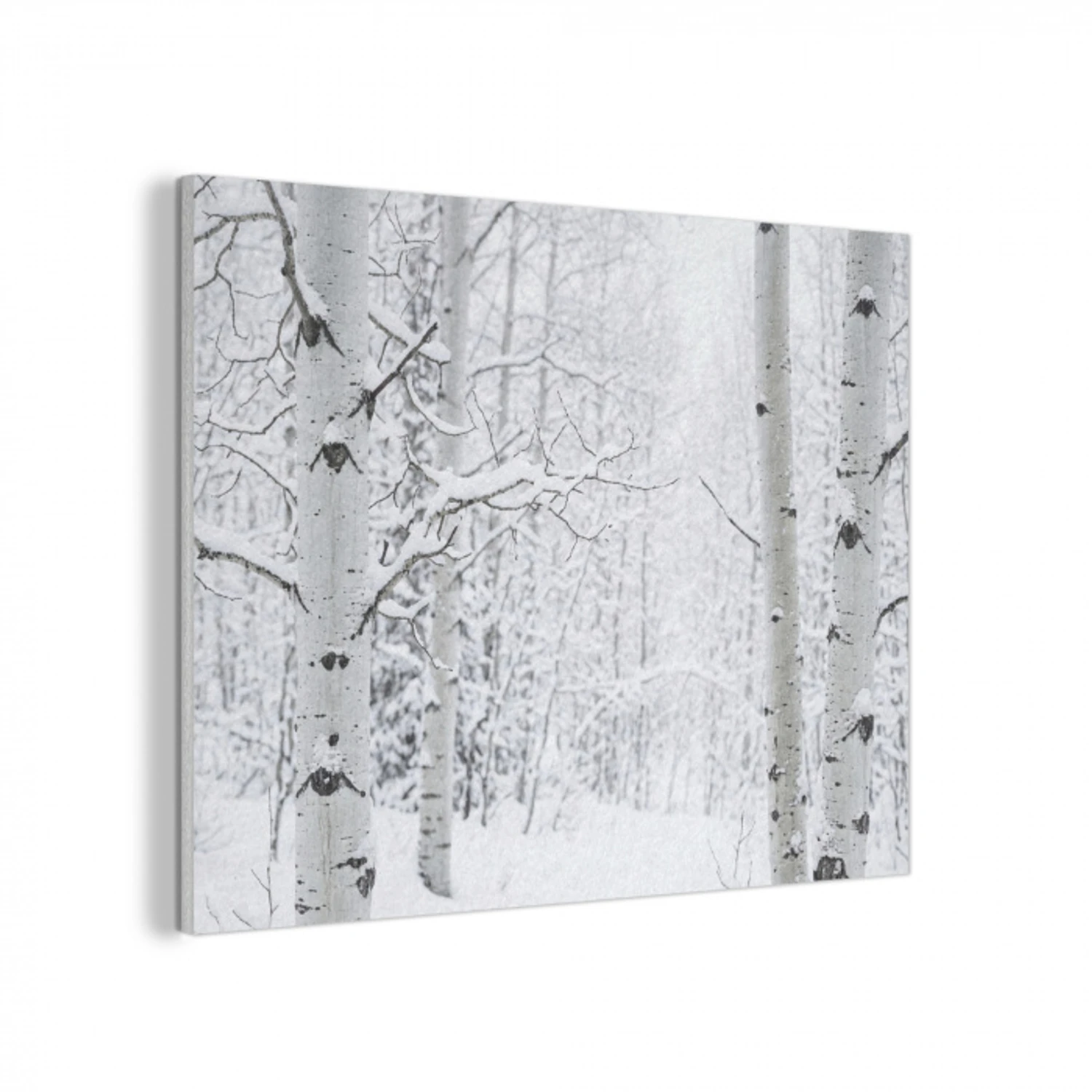 Berkenbomen - Sneeuw - Winter - Bos - Wit PET vilt klein -3d