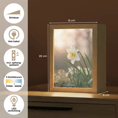 Narcis - Bloem - Minimalistisch Light Box met kabel (Tafellamp) klein -USP_NL