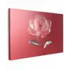 Sierlijk - Bloem - Roze - Glazen Tuinposter op houten frame 2 cm dik klein -3d