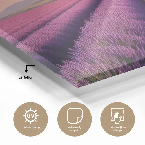 Lavendelveld - Zonsondergang - Paars - Bloemen plexiglas 5mm klein -sfeer2